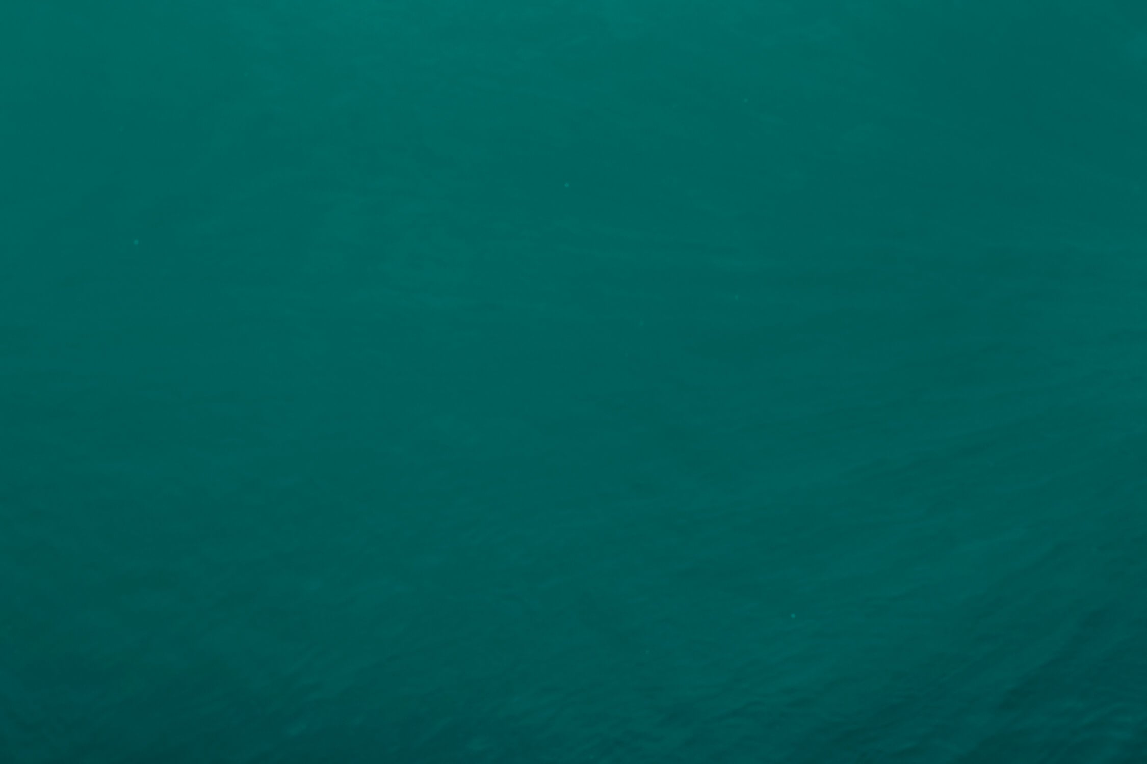 Papier Peint Emeraude