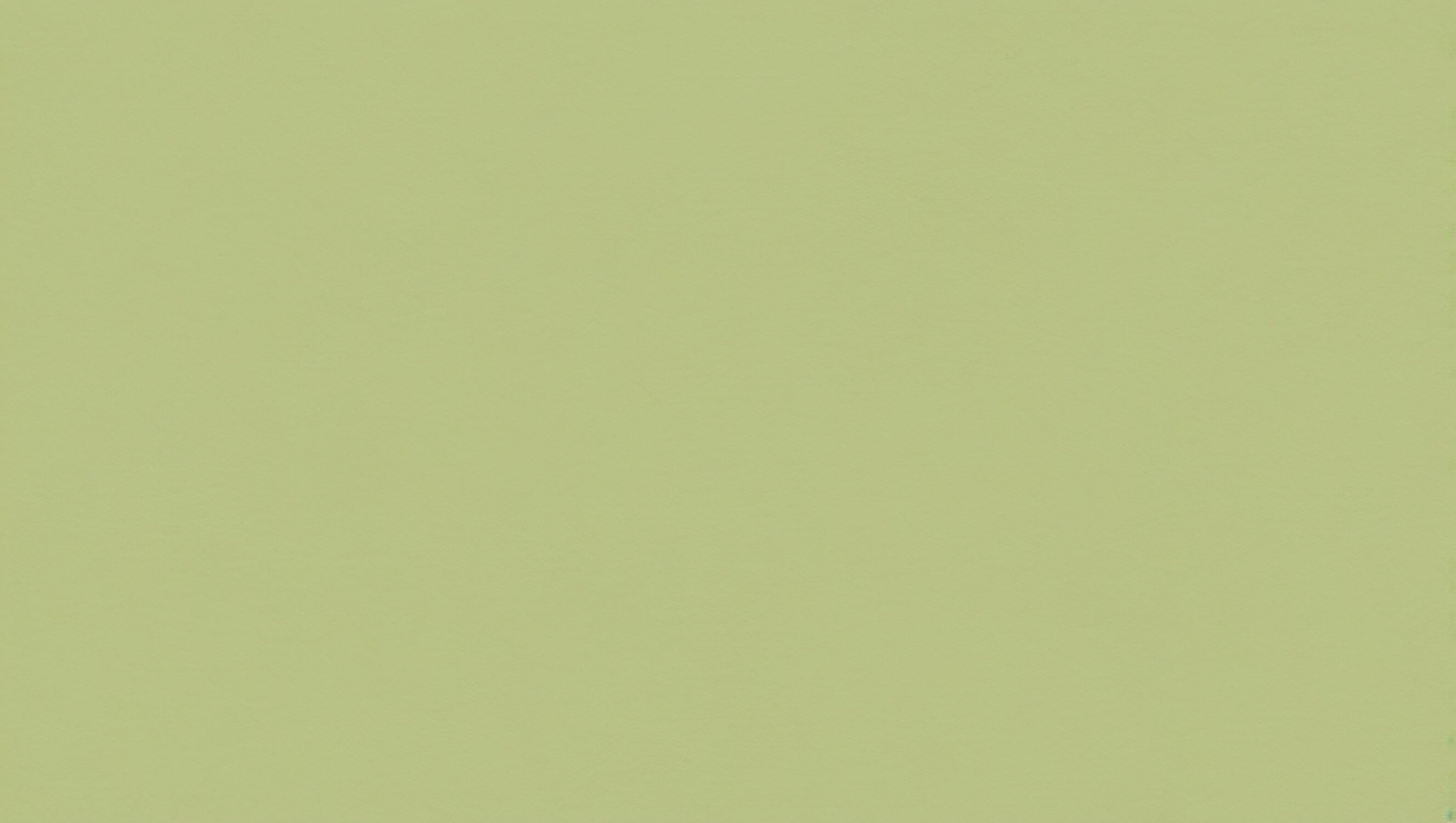 Papier Peint Couleur Vert Bambou