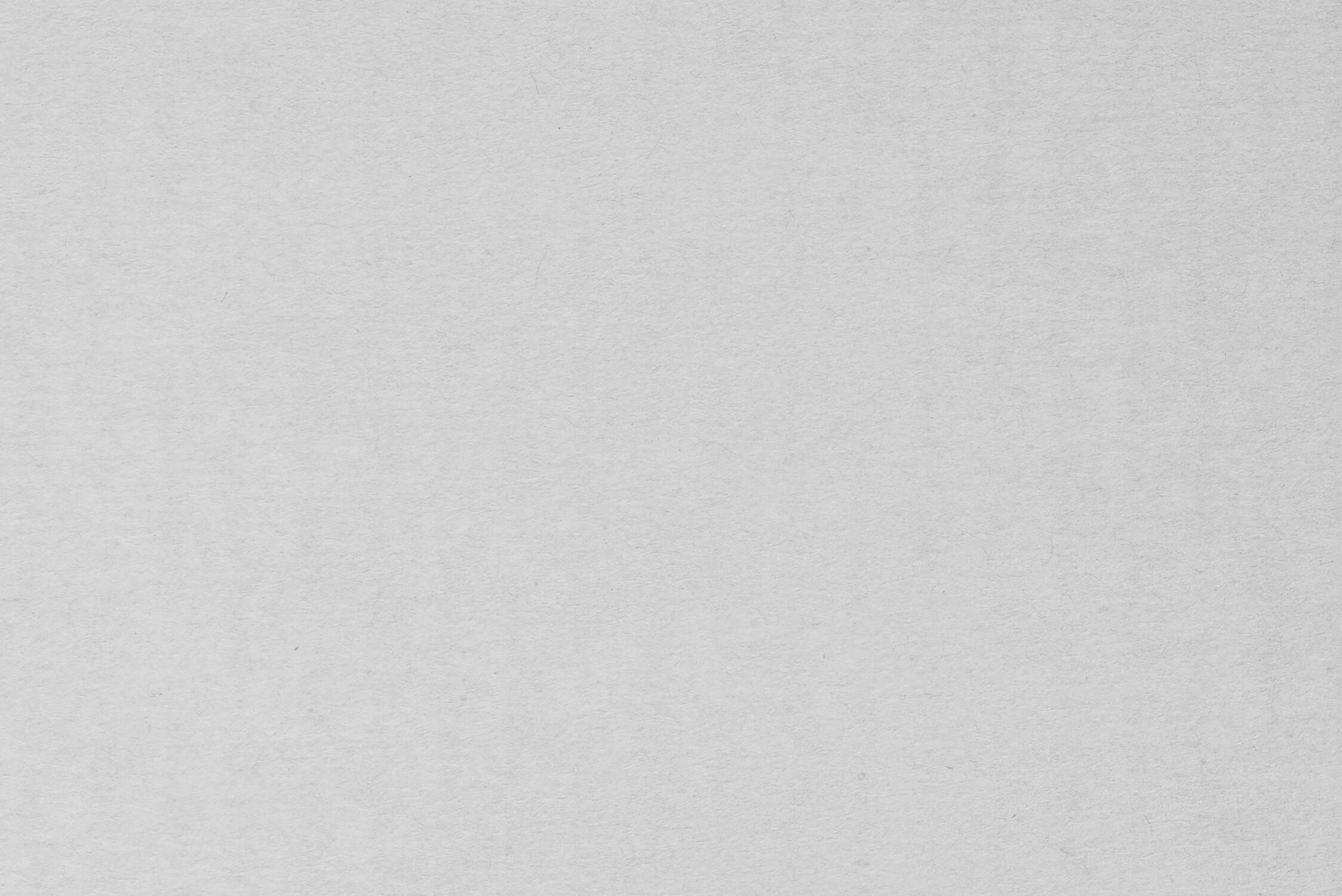 Papier Peint Intissé Gris Clair
