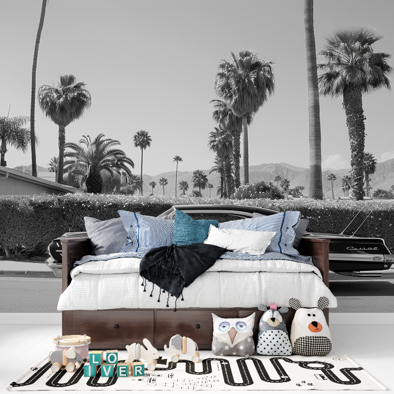 Papier peint noir et blanc voiture miami tapisserie pour ado