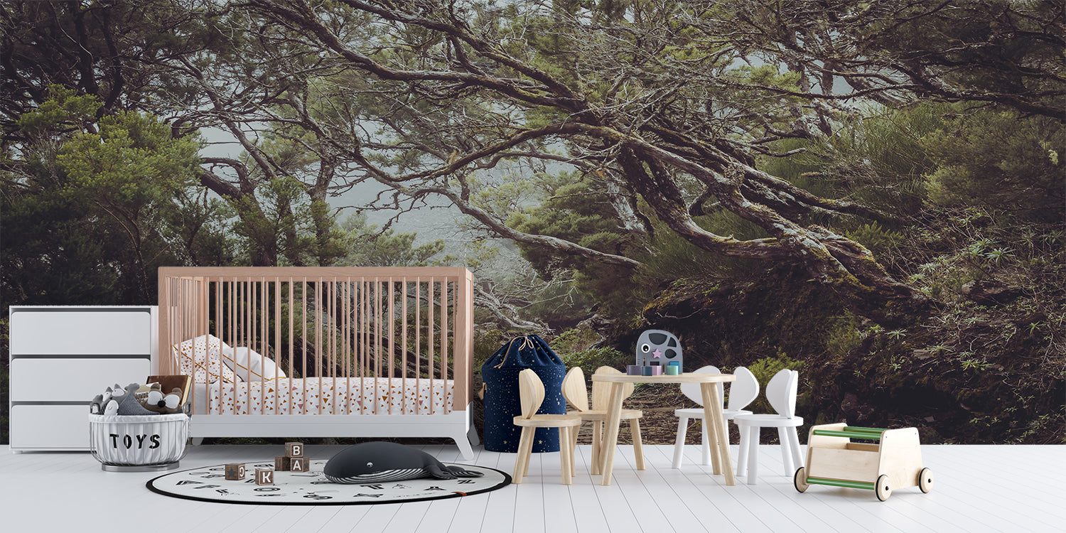 Papier Peint Petite Foret