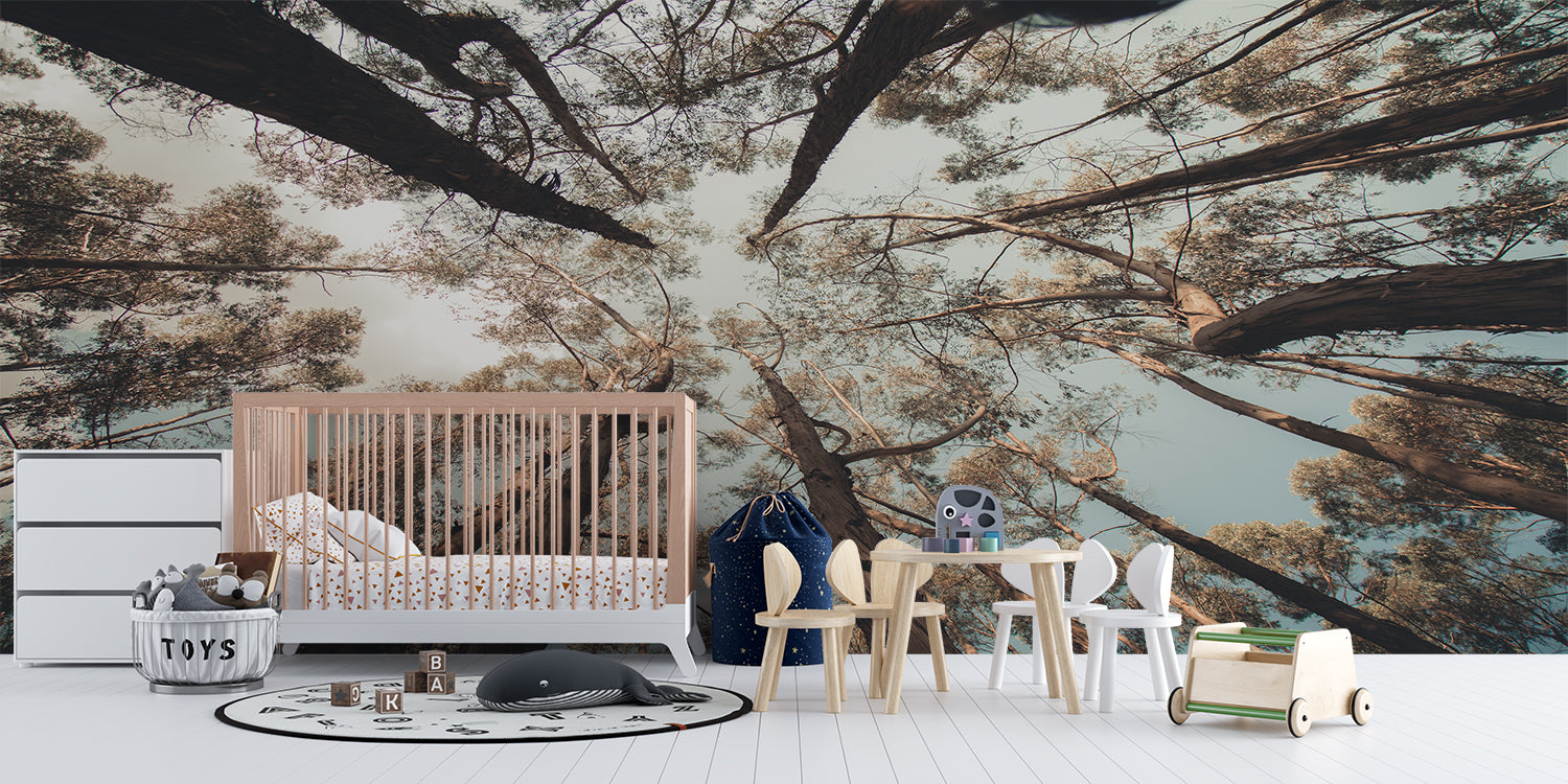 Papier Peint Arbre Foret