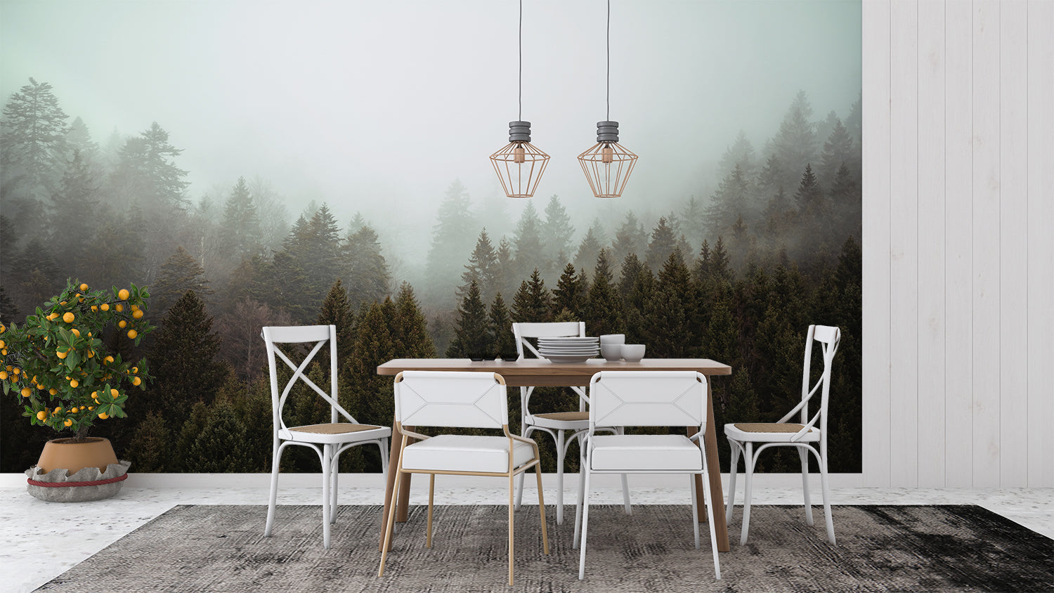 Papier Peint Foret Sapin