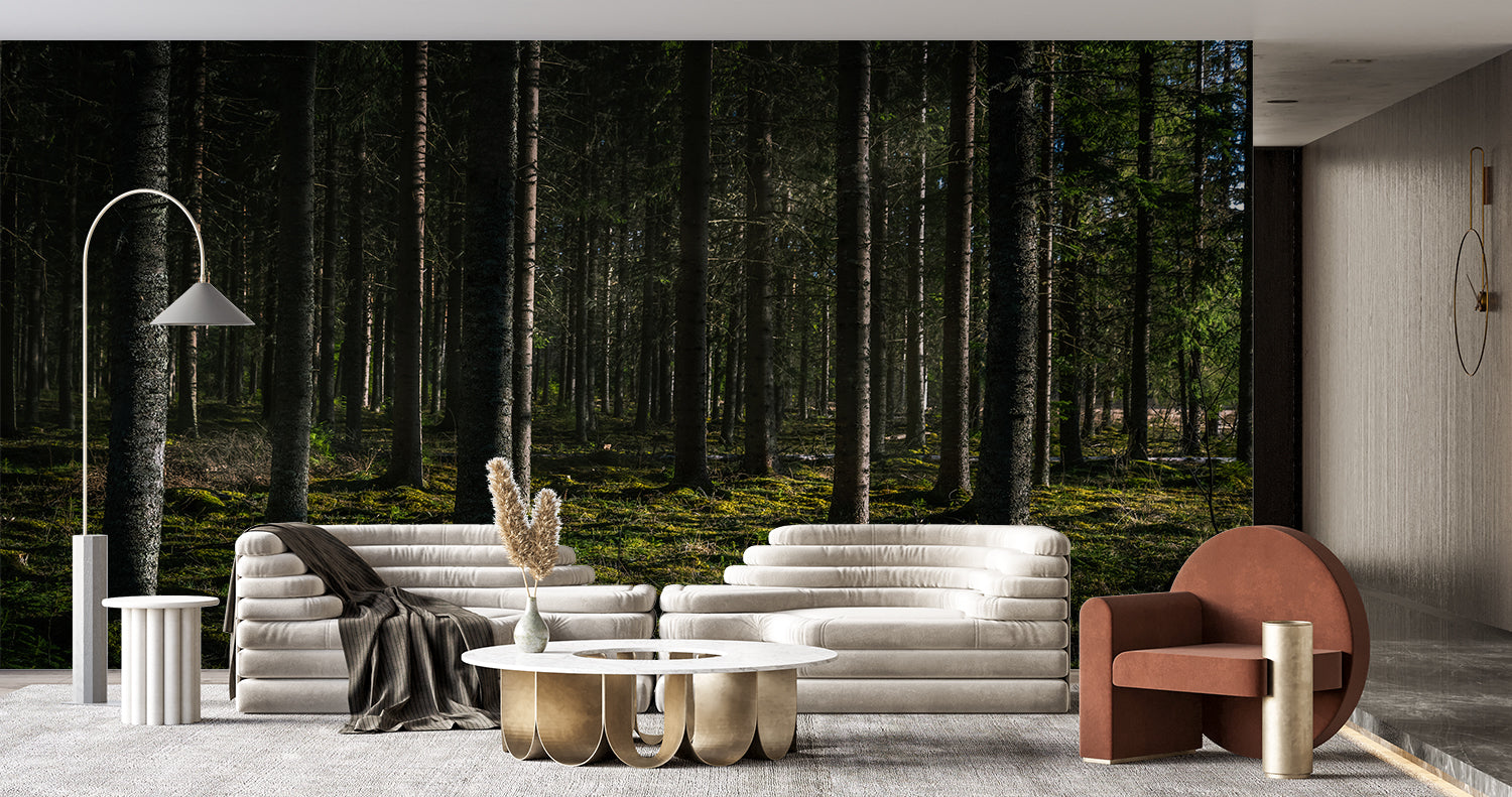 Papier Peint Xxl Foret