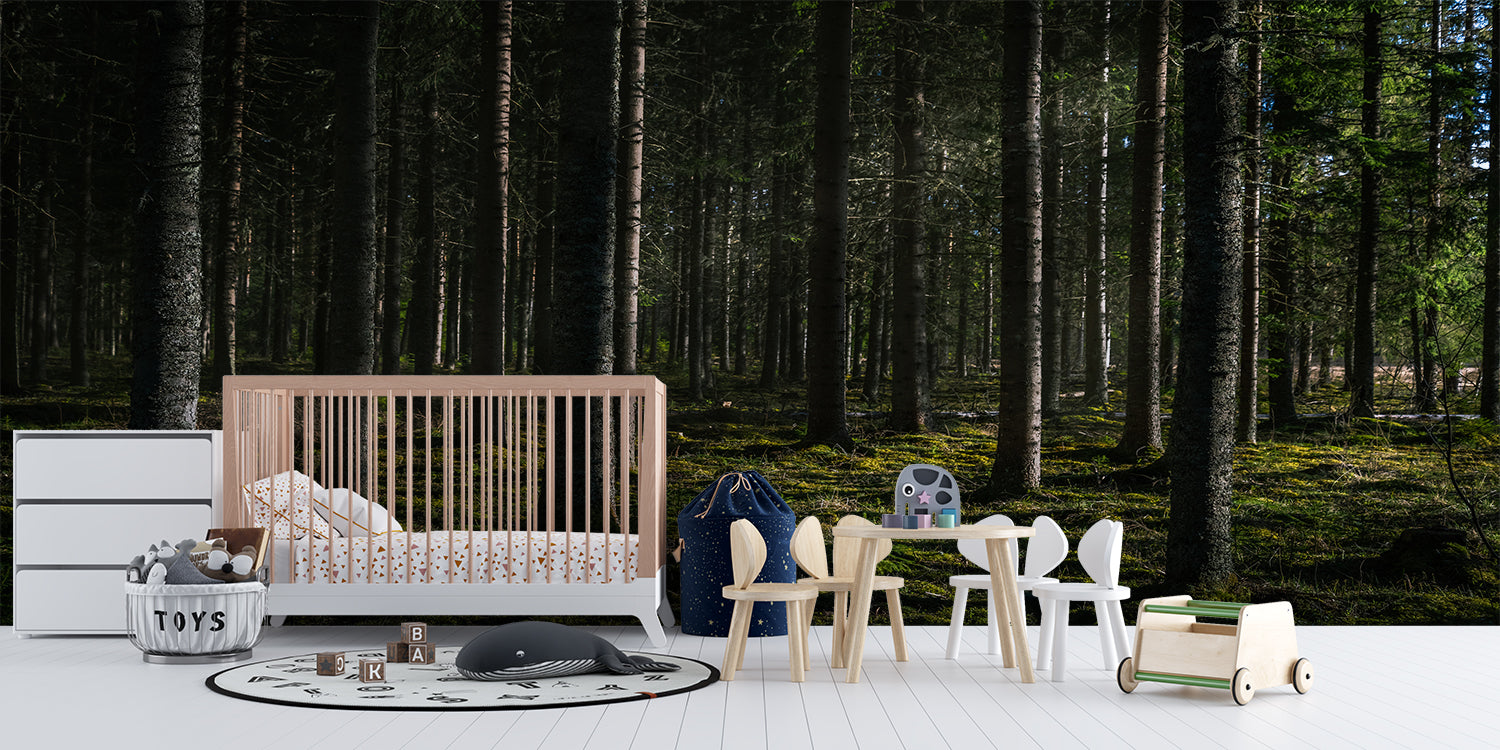 Papier Peint Xxl Foret