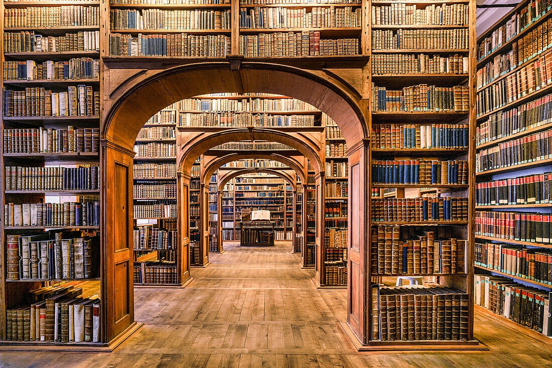 Papier Peint Trompe L'oeil Bibliothèque