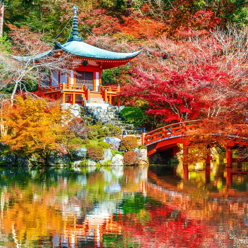 Papier Peint Panoramique Jardin Japonais