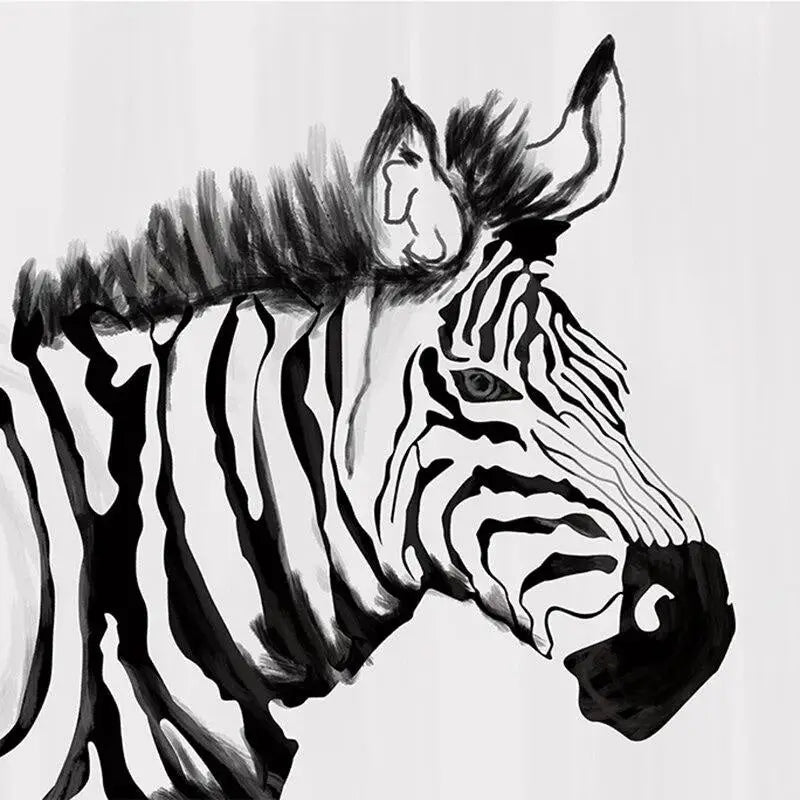 Black and White Zebra Wallpaper - Second Image