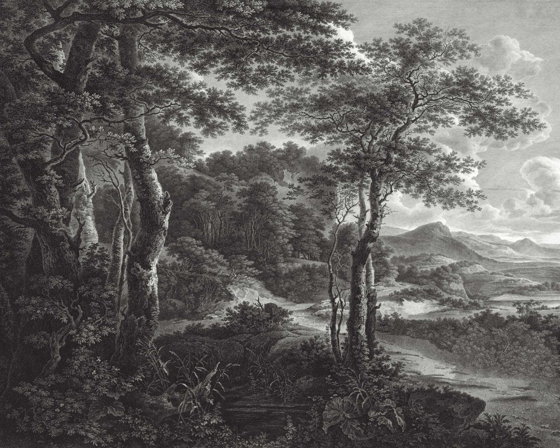 Black and white fresco wallpaper